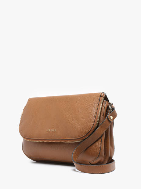 Sac Bandoulière M Tradition Cuir Etrier Marron tradition ETRA059M vue secondaire 2